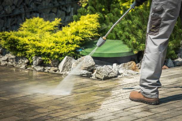 Professional Pressure Washing Services in Citrus Heights, CA